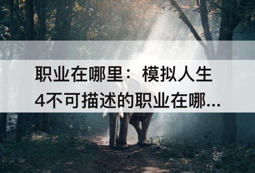 职业在哪里：模拟人生4不可描述的职业在哪里选择