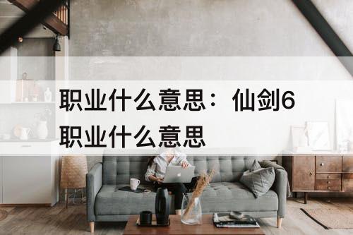 职业什么意思：仙剑6职业什么意思