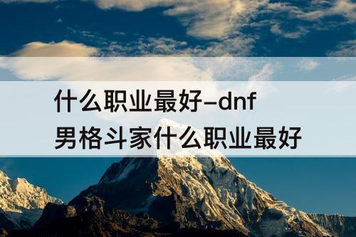 什么职业最好-dnf男格斗家什么职业最好