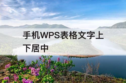 手机WPS表格文字上下居中