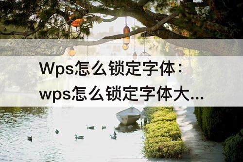 Wps怎么锁定字体：wps怎么锁定字体大小