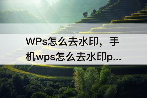 WPs怎么去水印，手机wps怎么去水印ppt