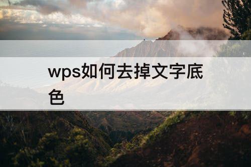 wps如何去掉文字底色
