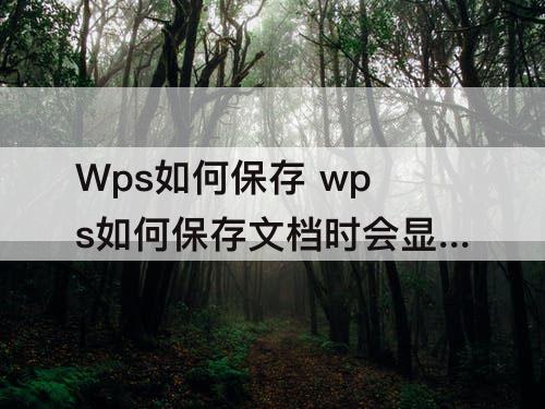 Wps如何保存 wps如何保存文档时会显示文件名