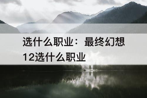 选什么职业：最终幻想12选什么职业