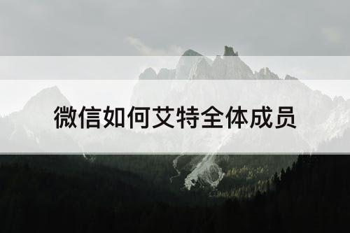 微信如何艾特全体成员