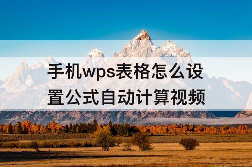手机wps表格怎么设置公式自动计算视频
