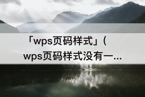 「wps页码样式」(wps页码样式没有一1一)