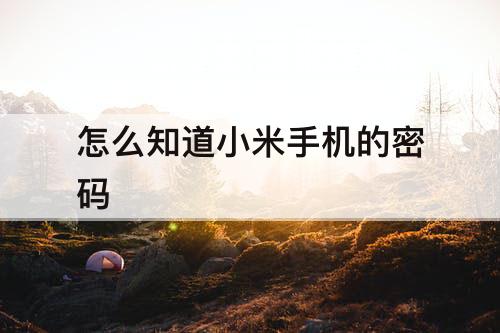 怎么知道小米手机的密码