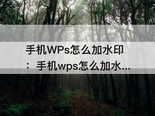手机WPs怎么加水印：手机wps怎么加水印文字在图片上