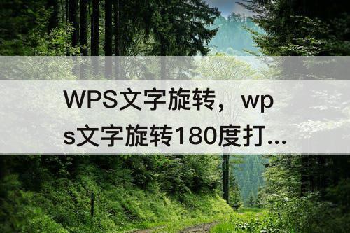 WPS文字旋转，wps文字旋转180度打印