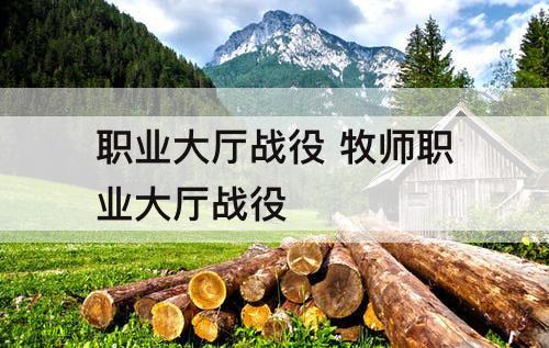 职业大厅战役 牧师职业大厅战役