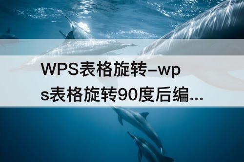 WPS表格旋转-wps表格旋转90度后编辑