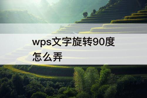 wps文字旋转90度怎么弄