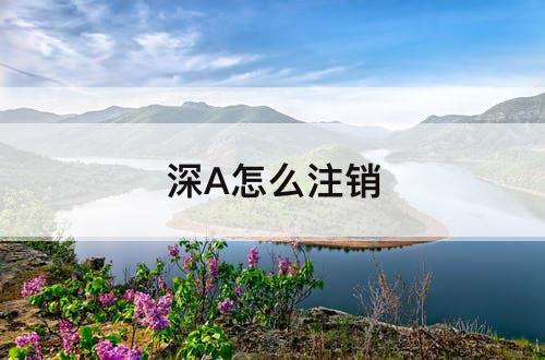 深A怎么注销