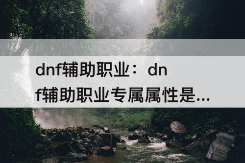 dnf辅助职业：dnf辅助职业专属属性是什么意思
