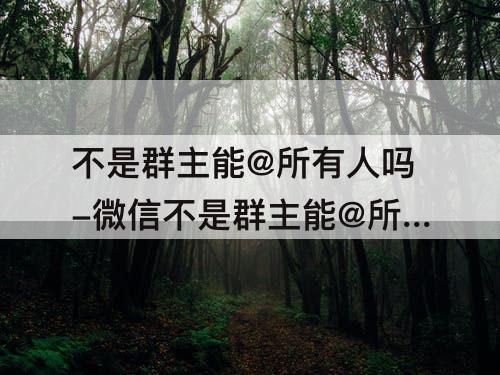 不是群主能@所有人吗-微信不是群主能@所有人吗?