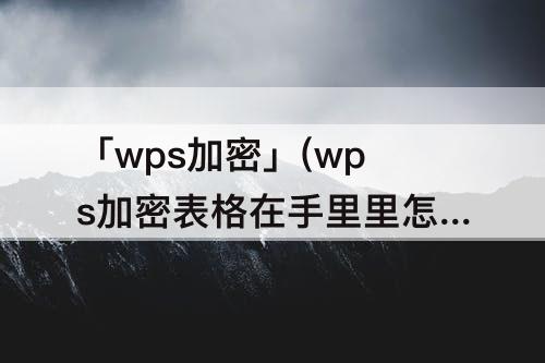 「wps加密」(wps加密表格在手里里怎么打开)