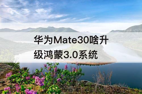 华为Mate30啥升级鸿蒙3.0系统
