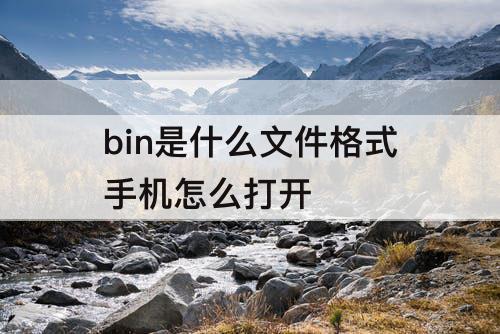 bin是什么文件格式手机怎么打开