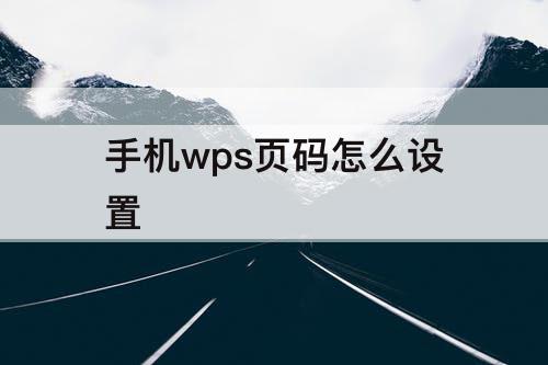 手机wps页码怎么设置