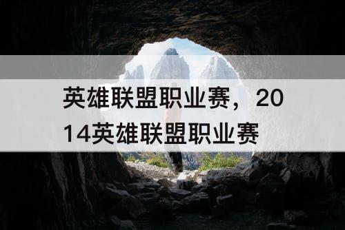 英雄联盟职业赛，2014英雄联盟职业赛