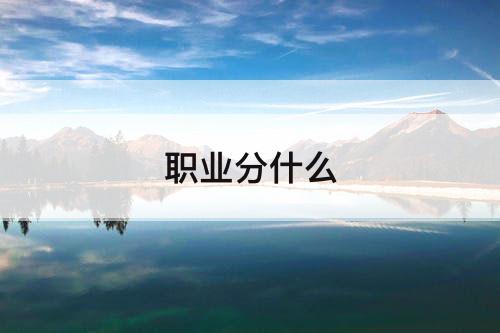 职业分什么