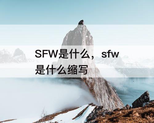 SFW是什么，sfw是什么缩写