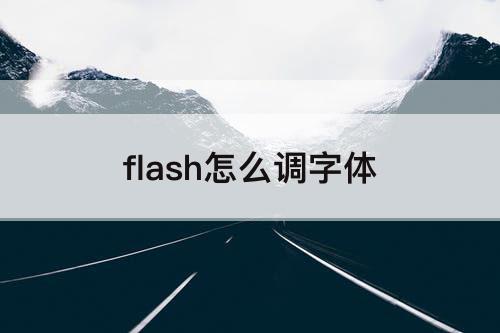 flash怎么调字体