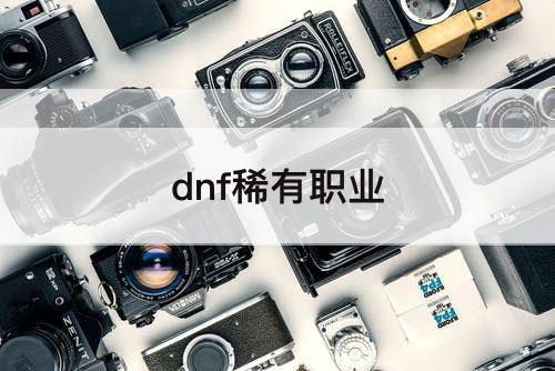 dnf稀有职业