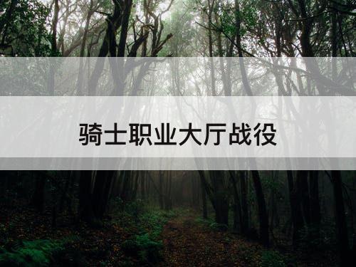 骑士职业大厅战役