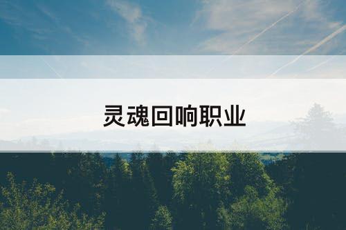 灵魂回响职业