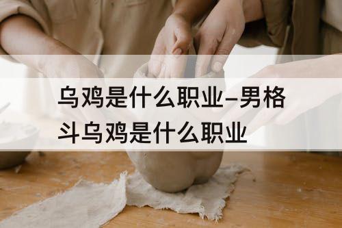 乌鸡是什么职业-男格斗乌鸡是什么职业