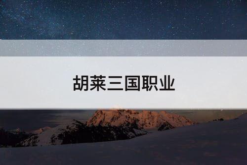 胡莱三国职业