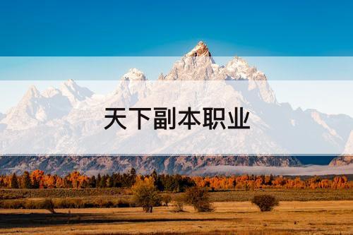 天下副本职业