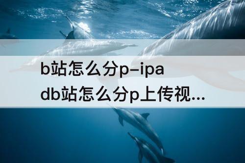 b站怎么分p-ipadb站怎么分p上传视频