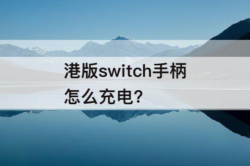 港版switch手柄怎么充电?