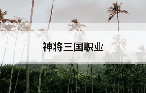 神将三国职业