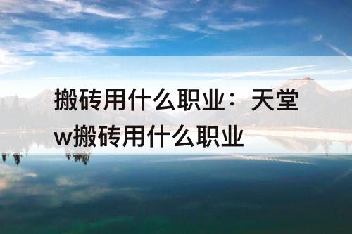 搬砖用什么职业：天堂w搬砖用什么职业