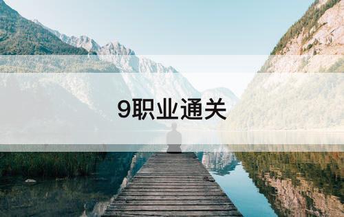 9职业通关