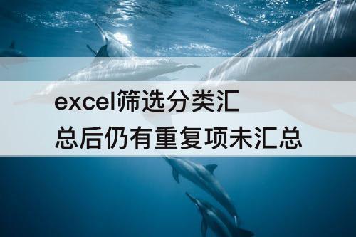 excel筛选分类汇总后仍有重复项未汇总