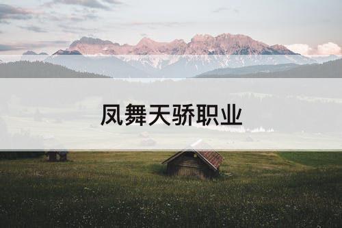凤舞天骄职业