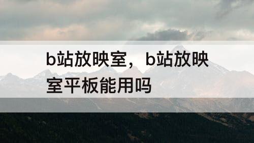 b站放映室，b站放映室平板能用吗