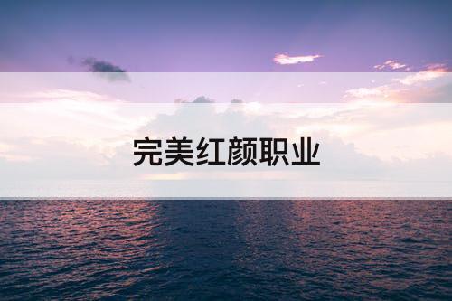 完美红颜职业