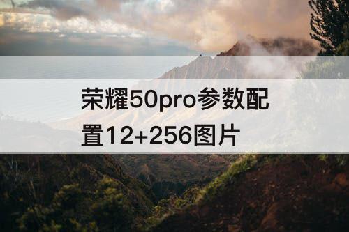 荣耀50pro参数配置12+256图片