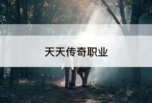 天天传奇职业