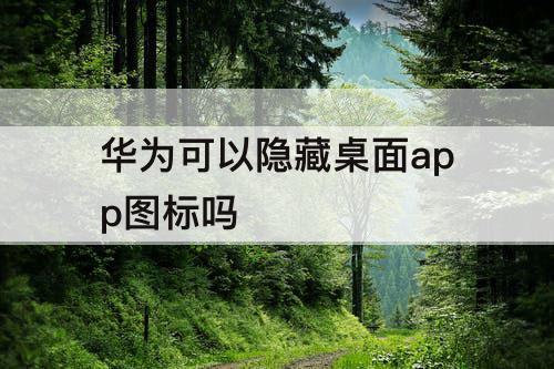 华为可以隐藏桌面app图标吗