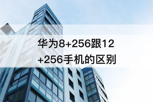 华为8+256跟12+256手机的区别