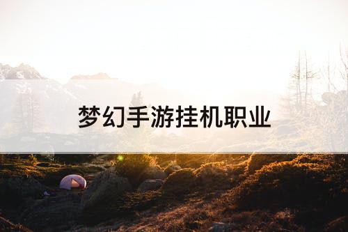 梦幻手游挂机职业