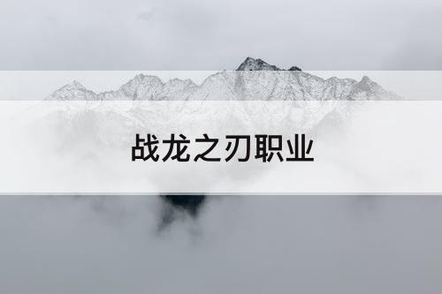 战龙之刃职业